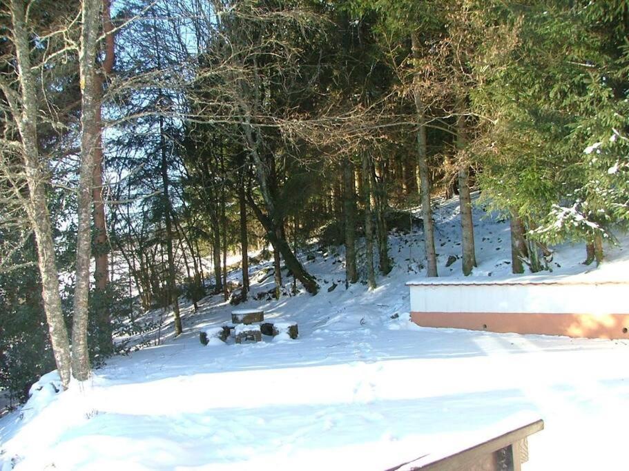 Maison D'Altitude Avec Vue Panoramique A Gérardmer Εξωτερικό φωτογραφία
