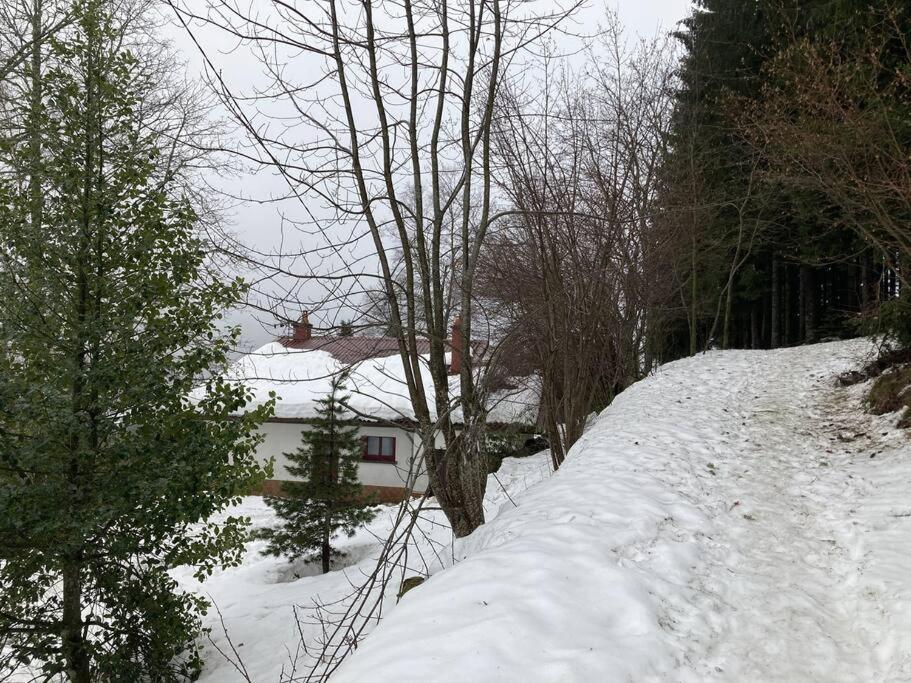 Maison D'Altitude Avec Vue Panoramique A Gérardmer Εξωτερικό φωτογραφία