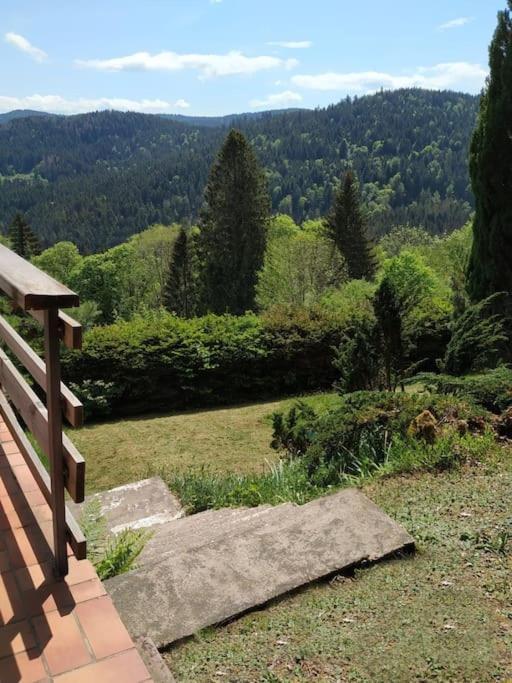 Maison D'Altitude Avec Vue Panoramique A Gérardmer Εξωτερικό φωτογραφία
