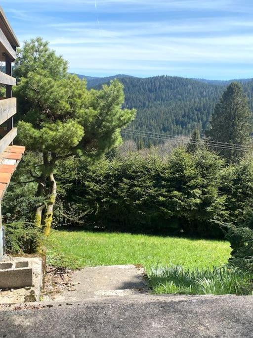 Maison D'Altitude Avec Vue Panoramique A Gérardmer Εξωτερικό φωτογραφία